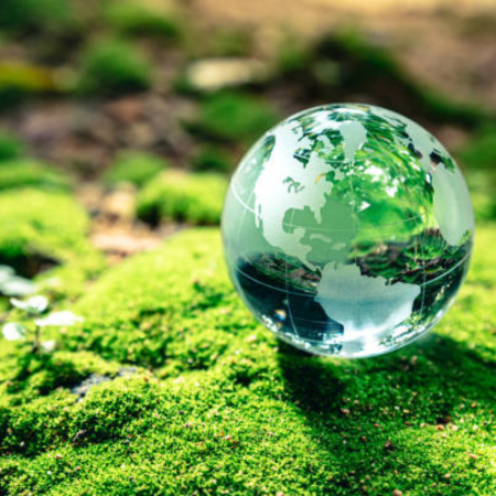 Environmental Program