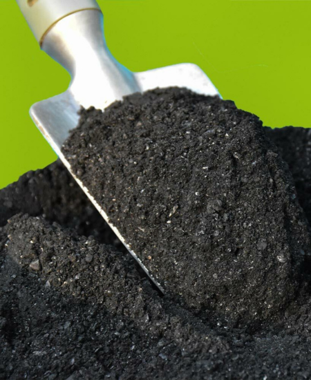 BIOCHAR FERTILIZER