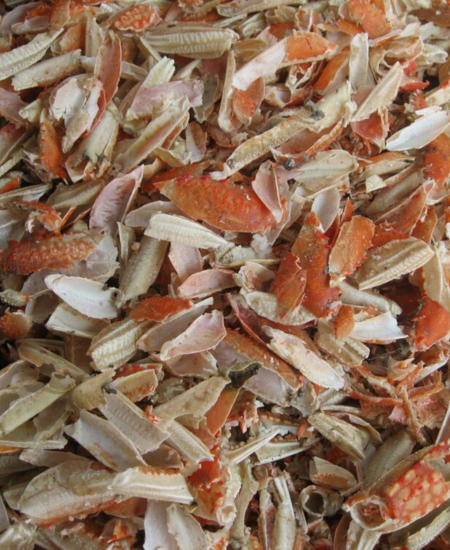 CRAB SHELL FERTILIZER