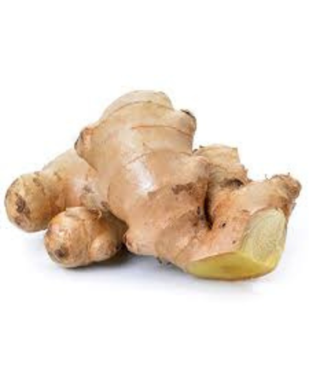 ELEPHANT GINGER