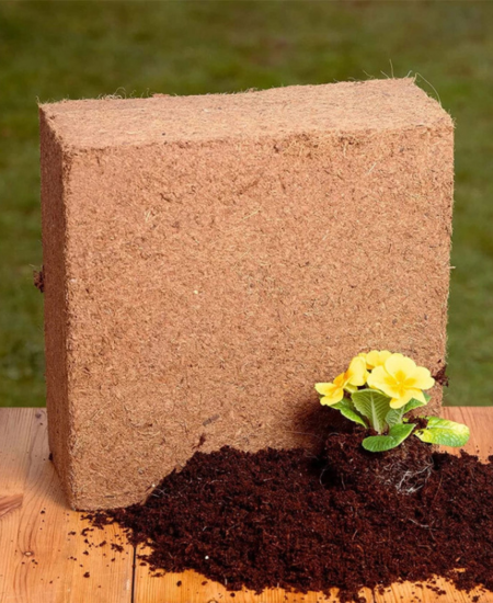 GROWING MEDIA - COCOPEAT BLOCK